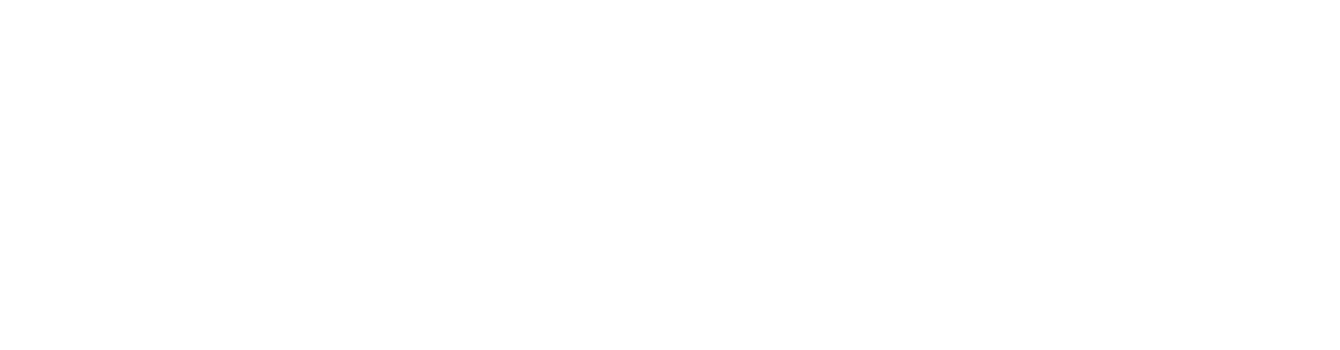 Savydney-Madox-Logo-White